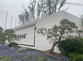  香蕉视频免费看厂家
